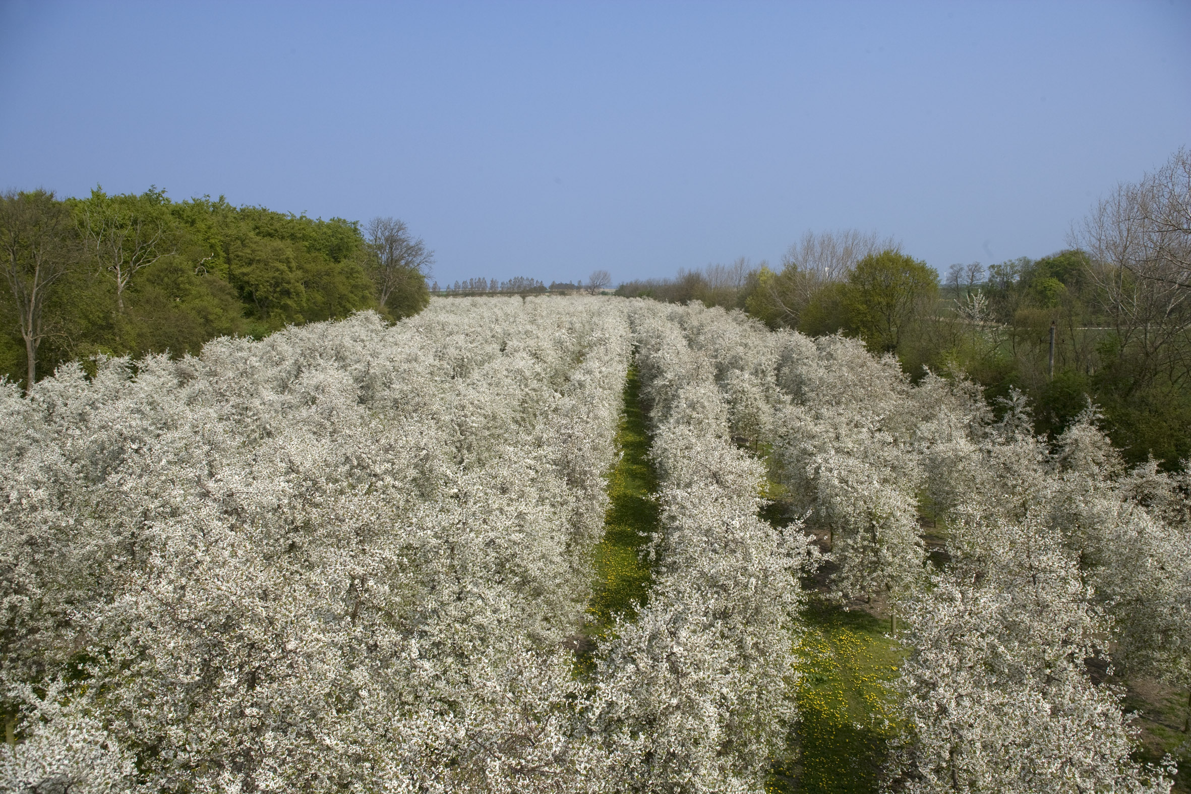 It begins in the field