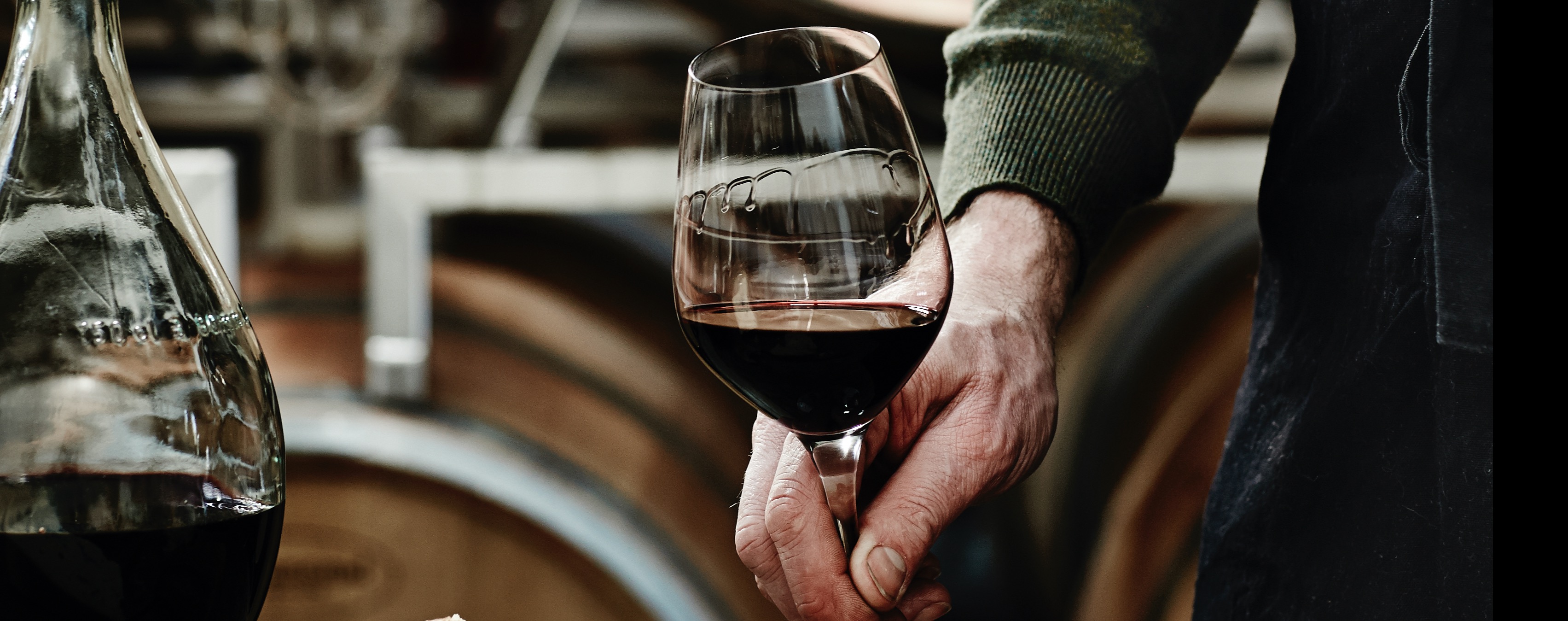 The grape of the North