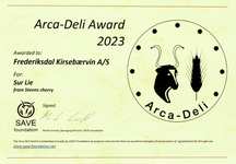 Arca-Deli Award 2023